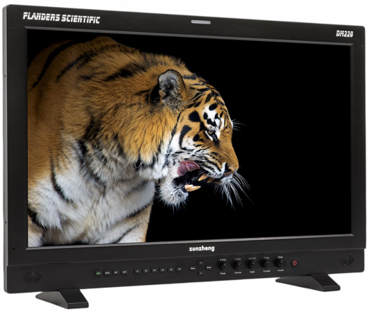 Flanders DM 220 OLED