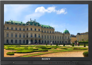 Sony LMD-A240 10 bit